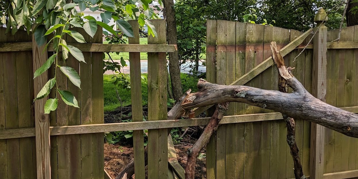 A wooden fence is broken, with large tree branches scattered around and leaning against it. The surrounding area is grassy with trees in the background.