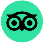 A stylized black owl with large eyes on a green circular background.